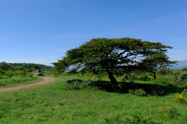 deluxetravelclub_kenia biuro podróży-46_1.jpg