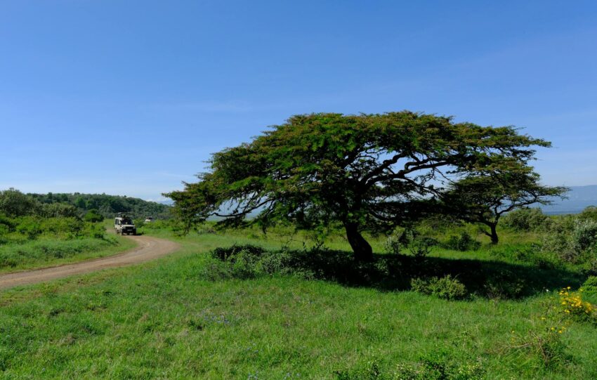 deluxetravelclub_kenia biuro podróży-46_1.jpg