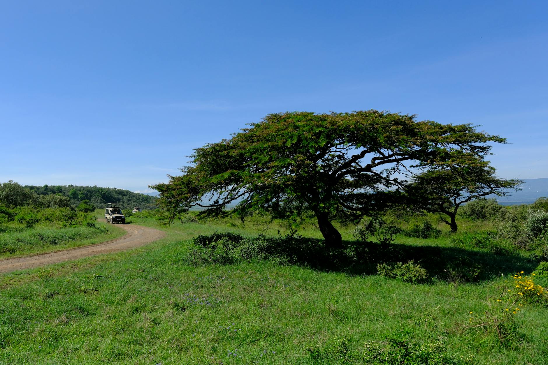 deluxetravelclub_kenia biuro podróży-46_1.jpg